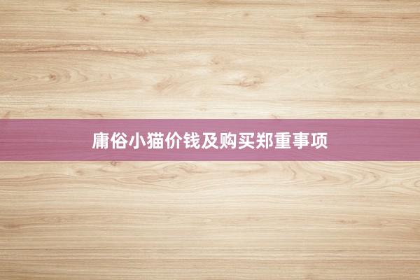 庸俗小猫价钱及购买郑重事项